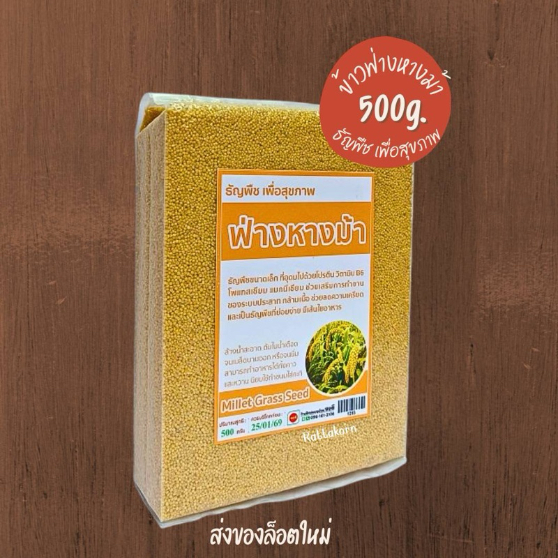 ข้าวฟ่างหางม้า Millet Grass Seed ธัญพืชทำขนม ทำอาหารคาวหวาน ขนาด500กรัม