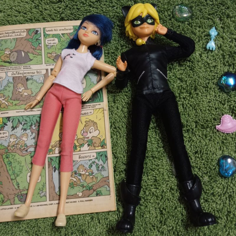 Miraculous Ladybug and Cat noir ©2020