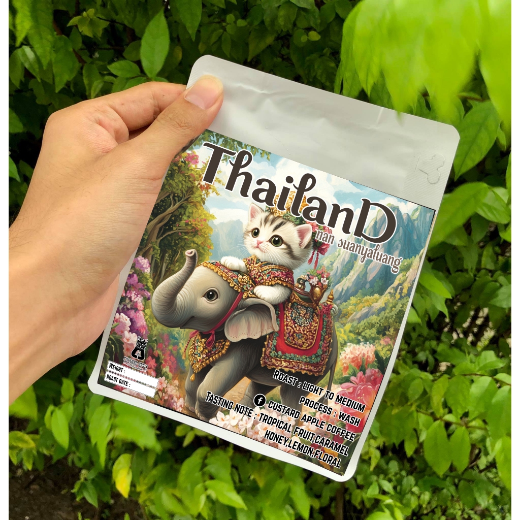เมล็ดกาแฟคั่วกลางไทย Thailand nan suanyaluang