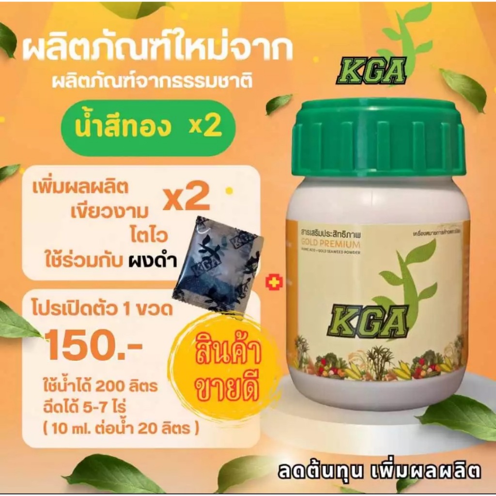 KGAสูตรน้ำ น้ำสีทองKGAสูตรพิเศษเร่งผลผลิต x 2