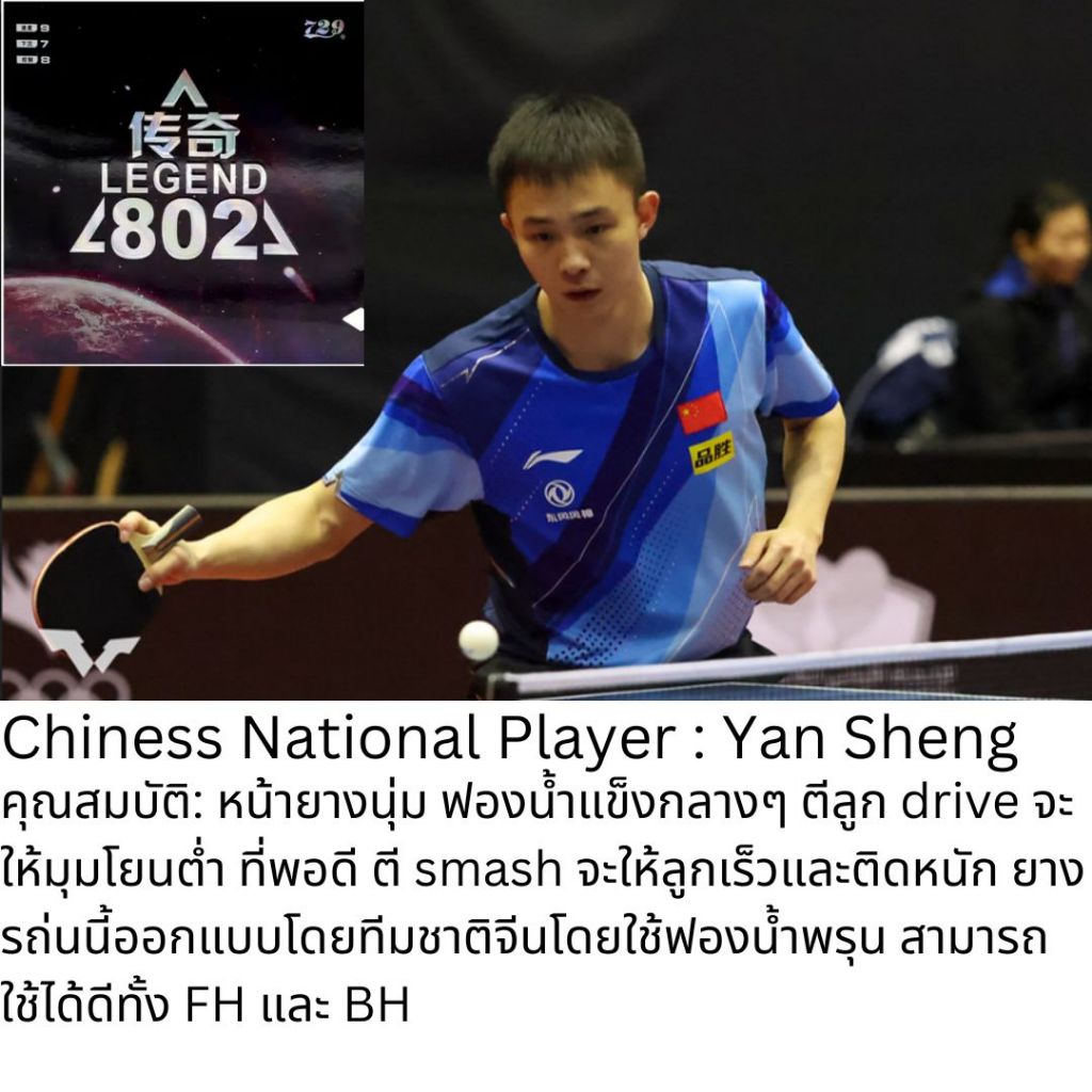 ยางปิงปองเม็ดสั้นฟองน้ำพรุน 729 Legend 802