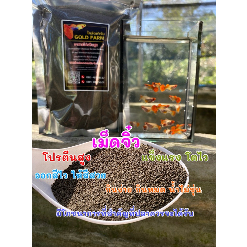 อาหารปลาหางนกยูง ขนาด300g-1,000g