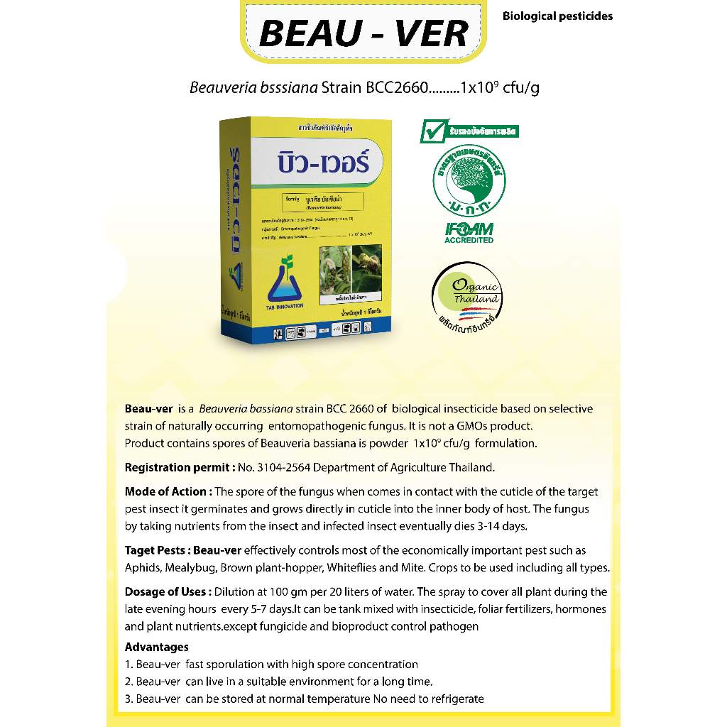 บิว-เวอร์ บูเวเรีย บัสเซียน่า จาก ทีเอบี  บิวเวอร์เรีย ชีวภัณฑ์กำจัดแมลง เพลี้ยอ่อน แมลงหวี่ เพลี้ยหอย เพลี้ยแป้ง กระโดด - รูปที่ 5