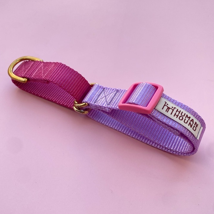 BARBIE Martingale Collar : Human&Hound - ปลอกคอฝึกสุนัข สี BARBIE ปลอกคอสุนัข