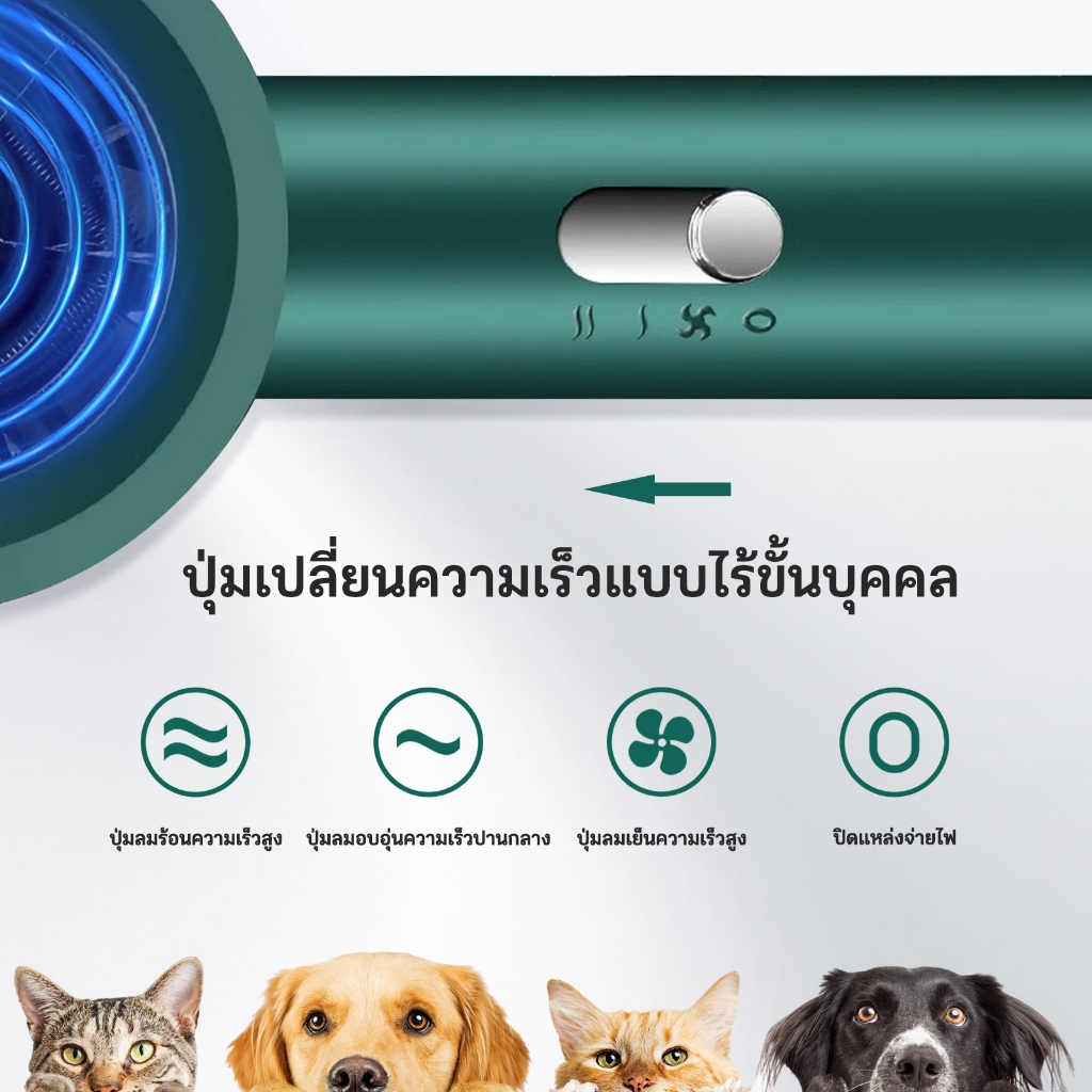 เครื่องเป่าผมสัตว์เลี้ยง, เครื่องเป่าผมรุ่นใหม่, เครื่องเป่าผมแมว, เครื่องลบไอออนเชิงลบปริมาณอากาศสูง - รูปที่ 2
