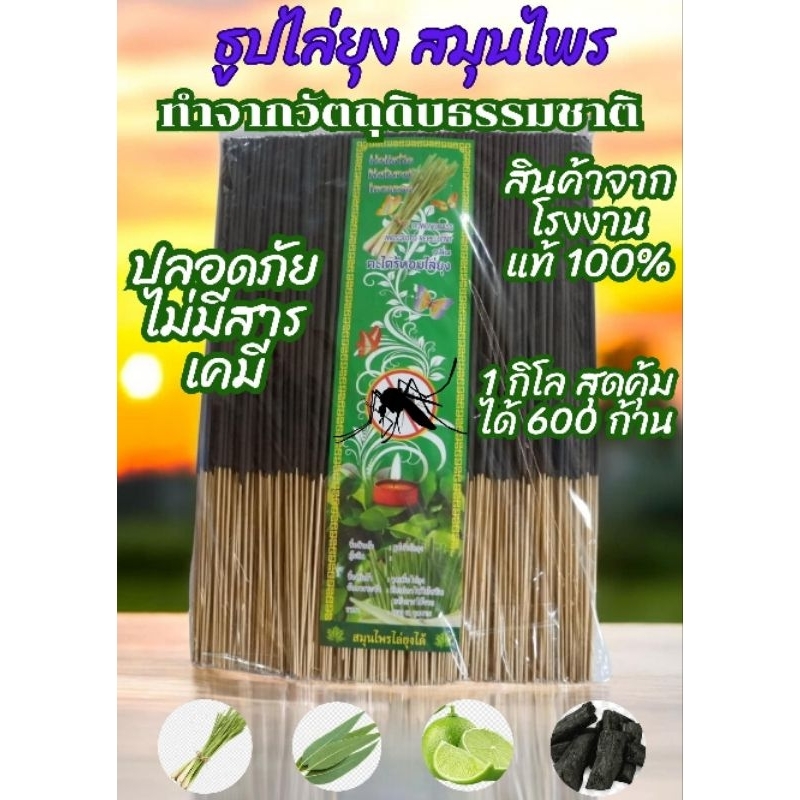สมุนไพรตะไคร้ ธูปสมุนไพรตะไคร้ สูตรเข้มข้น 1 กิโลกรัม 600 ก้าน เกรดA ปลอดภัย 100% ไล่ยุง กลิ่นอ่อนๆ ไม่ฉุน