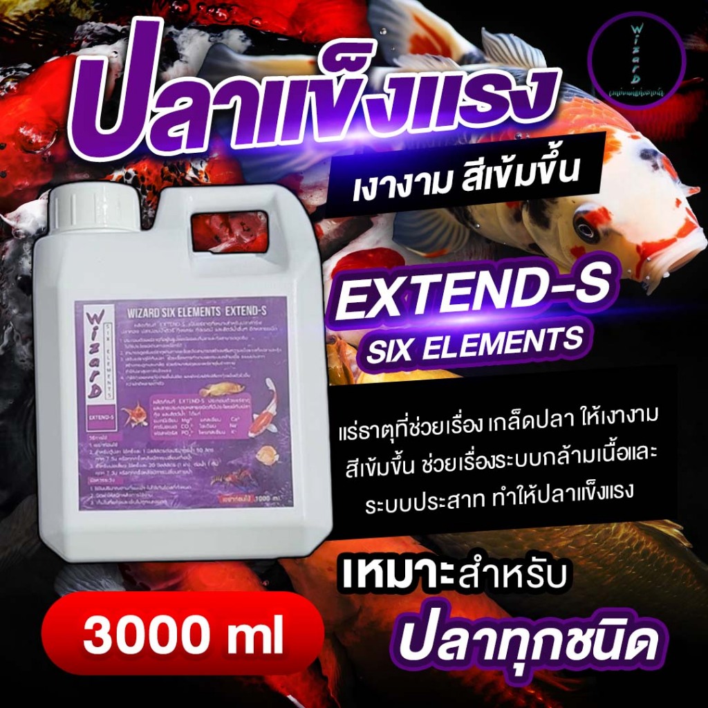 Wizard SIX ELEMENTS  EXTEND-S 3 L