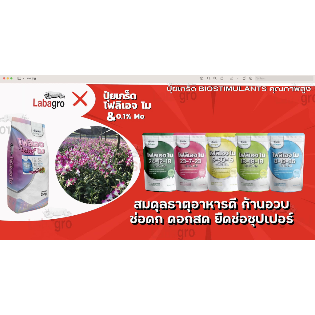 โฟลิเอจ โม ขนาด1กิโลกรัม มีโมลิบดินั่ม ให้พืชมีผลผลิตเพิ่มขึ้น ฮอร์โมนพืช บำรุงต้น ราก ใบ ดอก ผลใหญ่ ปุ๋ยเกล็ดโฟลิเอจ