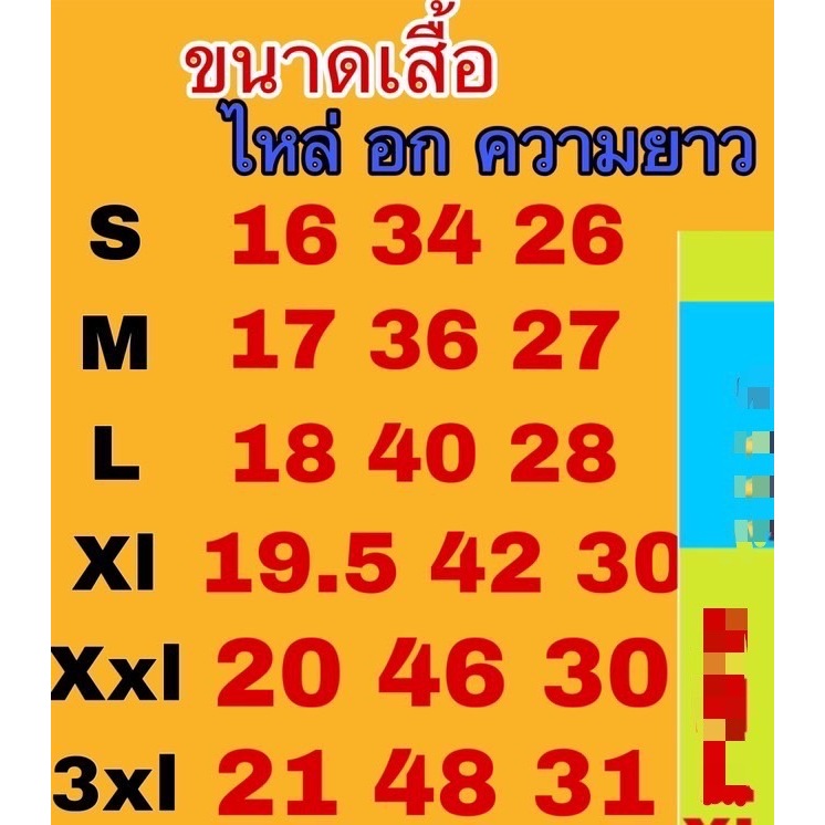 เซตเสื้อลายจุดกางเกงสีพื้น ชุดย้อนยุค (เสื้อ+กางเกง) - รูปที่ 3