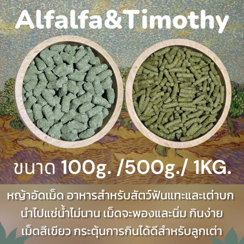 [EXPเดือน9/2027] ขนาดทดลอง100g.หญ้าอัดเม็ดแบบแช่น้ำแล้วนิ่ม อาหารเต่าบก และสัตว์ฟันแทะทุกชนิด ❤️