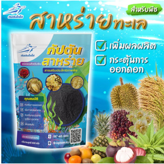 สาหร่าย สำหรับพืช สกัดเข้มข้น 100% ขนาด 100 กรัม