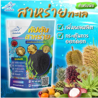 สาหร่าย สำหรับพืช สกัดเข้มข้น 100% ขนาด 100 กรัม