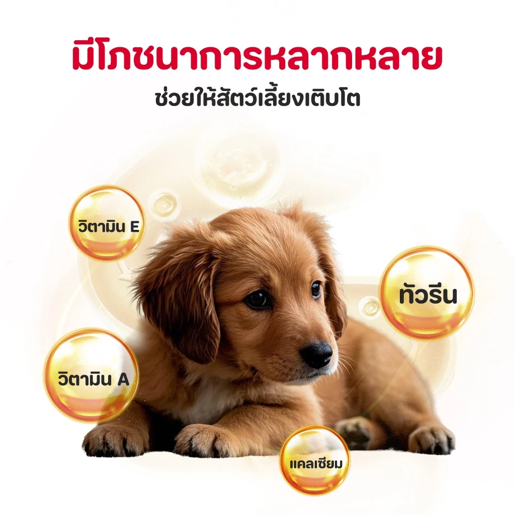TUBI อาหารเปียกสุนัข ไม่ติมเกลือ ลูกสุนัขและสุนัขโต thumbnail 6