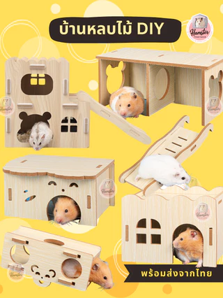 [Hmasterthailand] บ้านหลบไม้ บันได DIY สำหรับ แฮมสเตอร์ เม่นแคระ ดอร์เมาส์ ชูก้าง