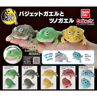 (ครบชุดพร้อมส่ง) กาชาปองกบบัดเจทกบตาหนาม Gashapon Bandai Iki…