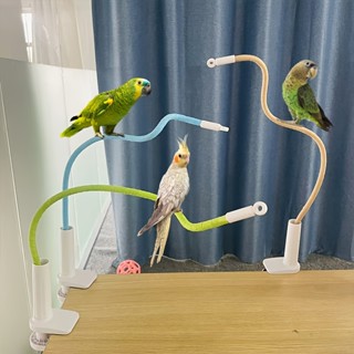 แท่นยืนนกปรับรูปทรงได้ 360° คอนลับเล็บนก นกคอน คอนยืน คอนนก …