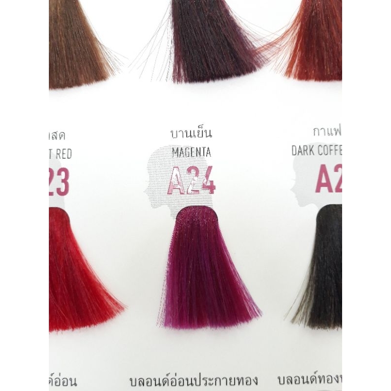 โกรกเบอริน่า สีเบอริน่า A23 A24 A33 A34 A36