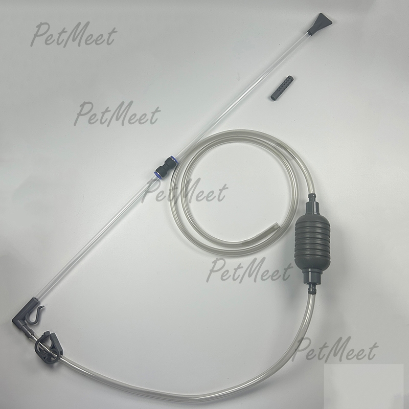 รูปภาพ 7