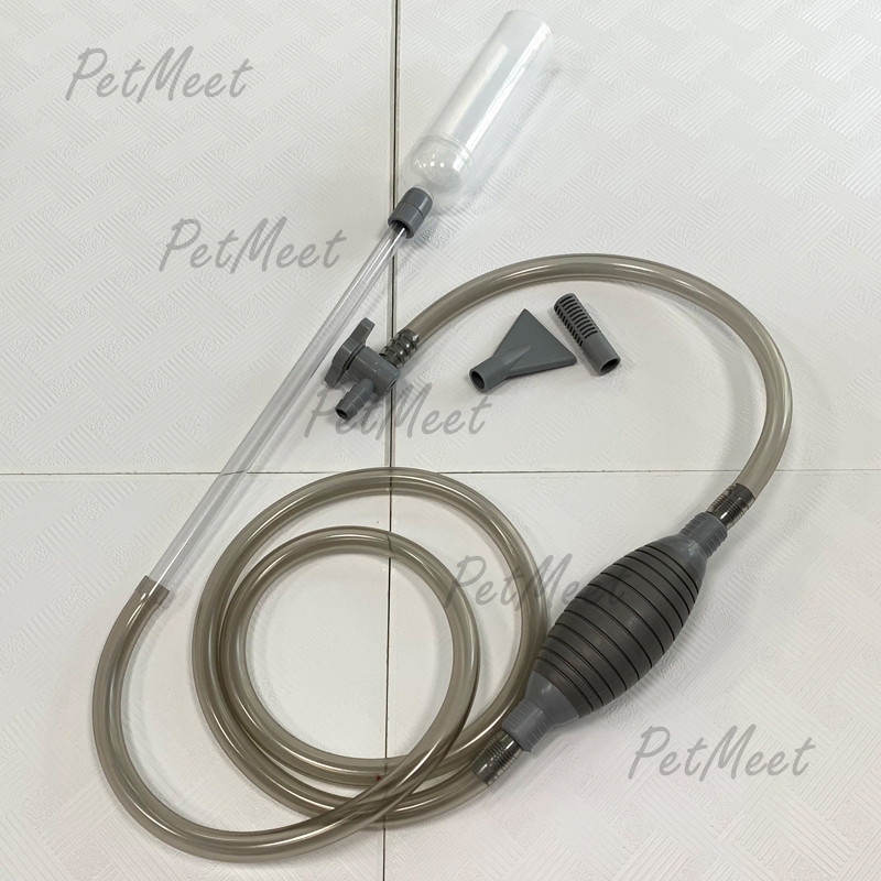 รูปภาพ 8