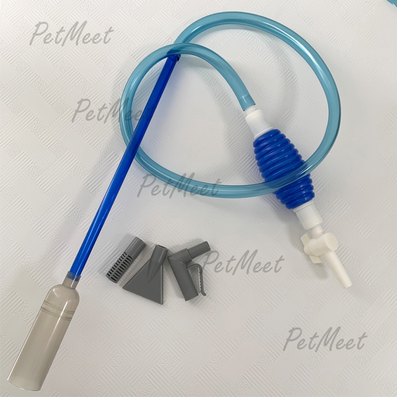 รูปภาพ 4