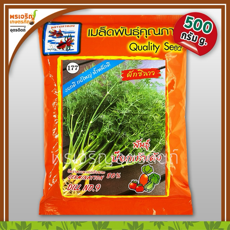 เมล็ดพันธุ์ผักชี ผักชีลาว ป๊อกเก้าเด้ง Dill NO.9 กอใหญ่ (500 กรัม) เมล็ดผักชีปลาทอง เมล็ดพันธุ์ผักสวนครัว ตราปลาทอง