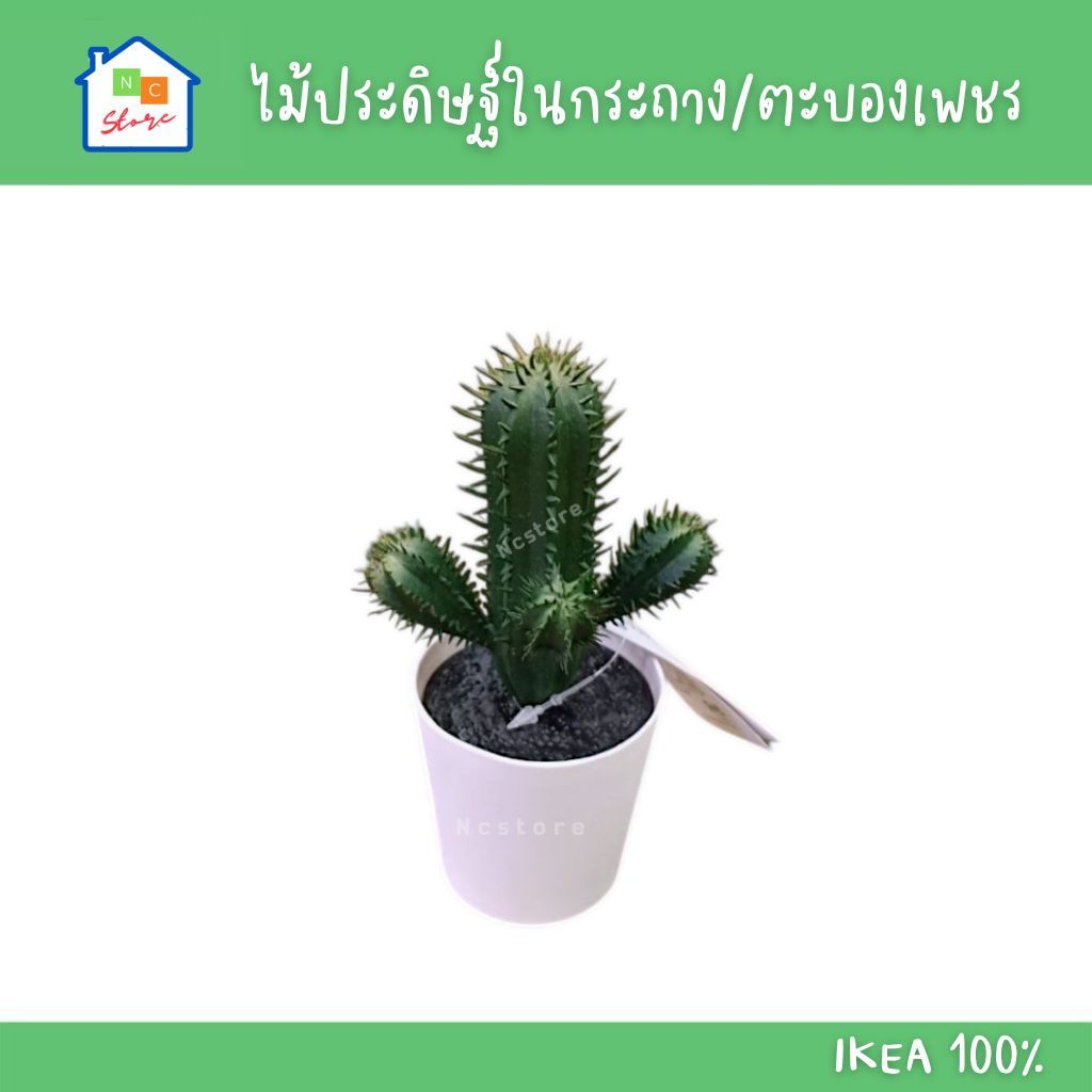 IKEA ต้นตะบองเพชร ไม้ประดิษฐ์ในกระถาง เหมือนจริง แต่งบ้าน รุ่น FEJKA อิเกีย แท้