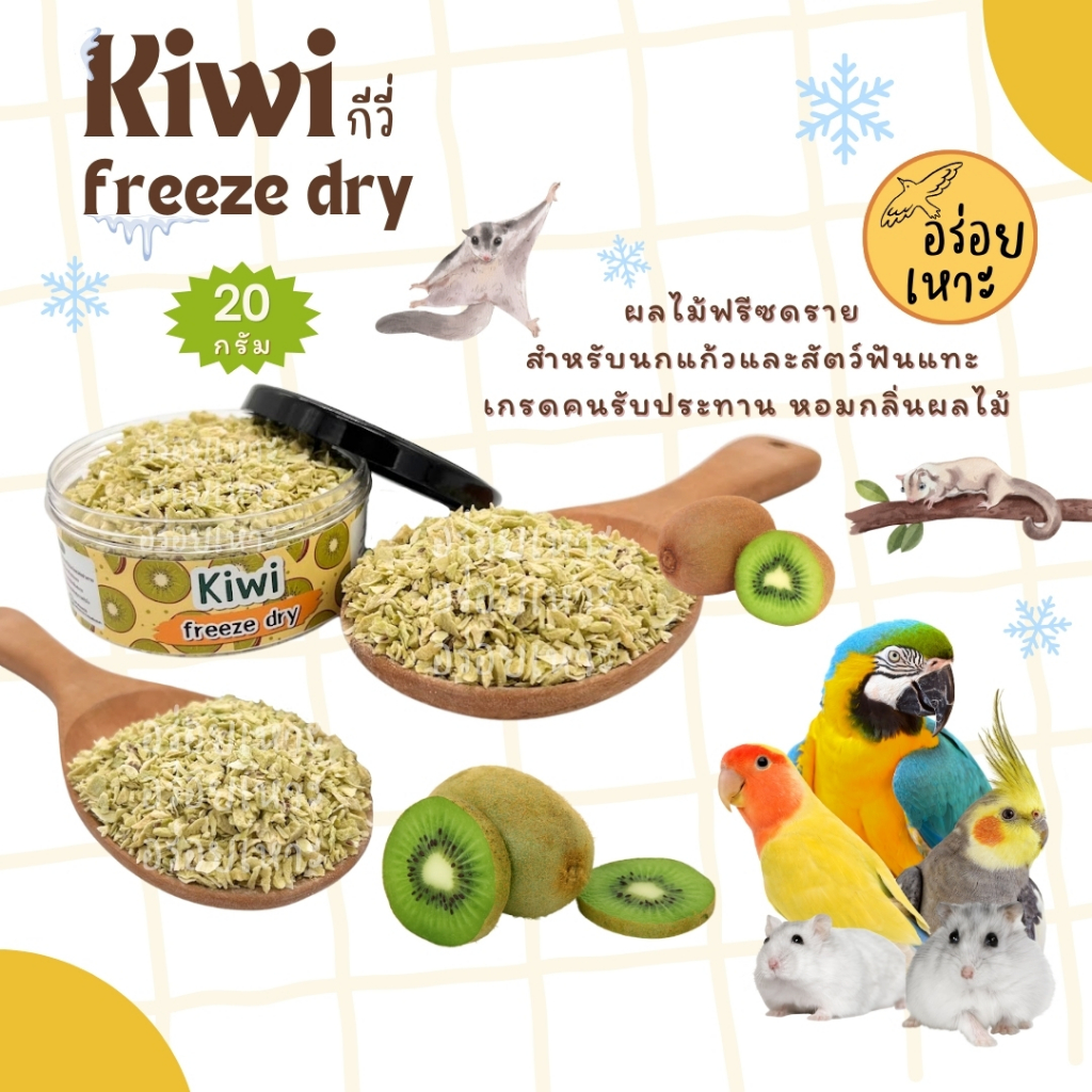 กีวี่ ฟรีซดราย ไร้น้ำตาล อาหารนกแก้ว ชูก้าไรเดอร์ หนูแฮมเตอร์ และสัตว์ฟันแทะทุกชนิด (กระปุก 20G)