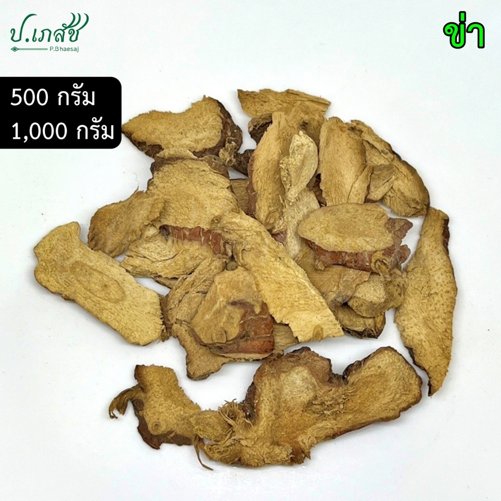 ข่า [500 / 1000 กรัม] ข่าแห้ง หัวข่า Galangal