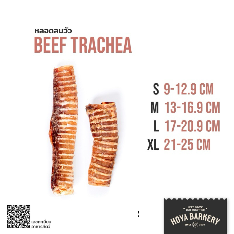 หลอดลมวัว Beef Trachea ขนมน้องหมา Hoya Barkery Dog Treats