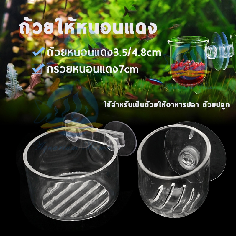 ถ้วยให้หนอนแดง ถ้วยปลูกไม้น้ำ กรวยใส่หนอนแดง ถ้วยใส่อาหารปลา กรวยใส่อาหารปลา ไรแดง ไรทะเล ไส้เดือน ขนาดเล็กกะทัดรัด