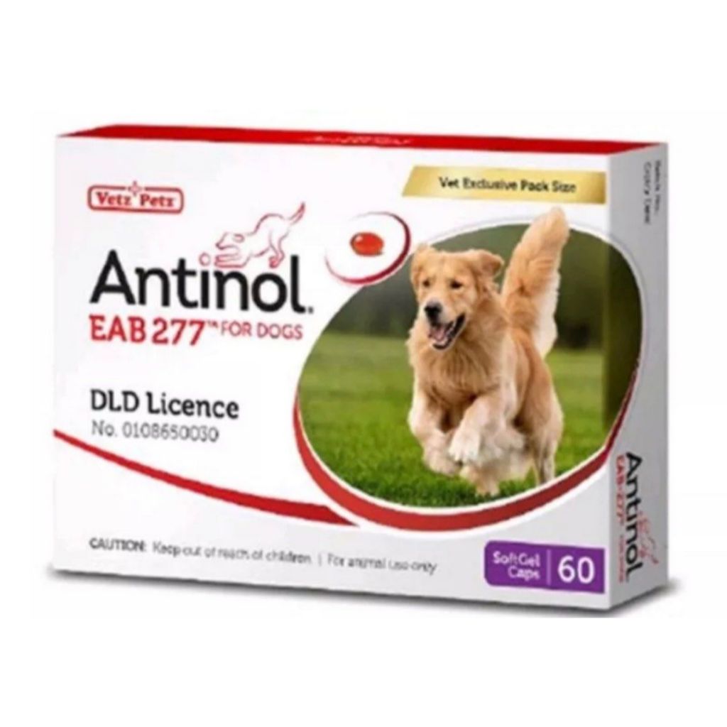 Antinol®️ EAB 277™ - วิตามินบำรุงกระดูกและข้อ สุนัข 60 แคปซูล