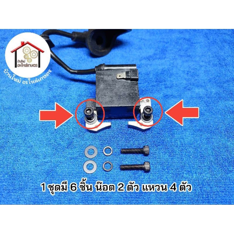 น๊อตยึดคอยล์ไฟ 1 ชุด 6 ชิ้น น๊อต 2 ตัว แหวน 4 ตัว เครื่องสูบน้ำ เครื่องตัดหญ้า  NB411 , CG411 , RBC411
