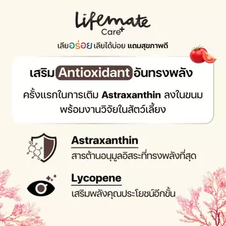 Lifemate Care+ อาหารเสริมในรูปแบบขนม แมวเลีย เสริมภูมิคุ้มกันและช่วยผ่อนคลาย