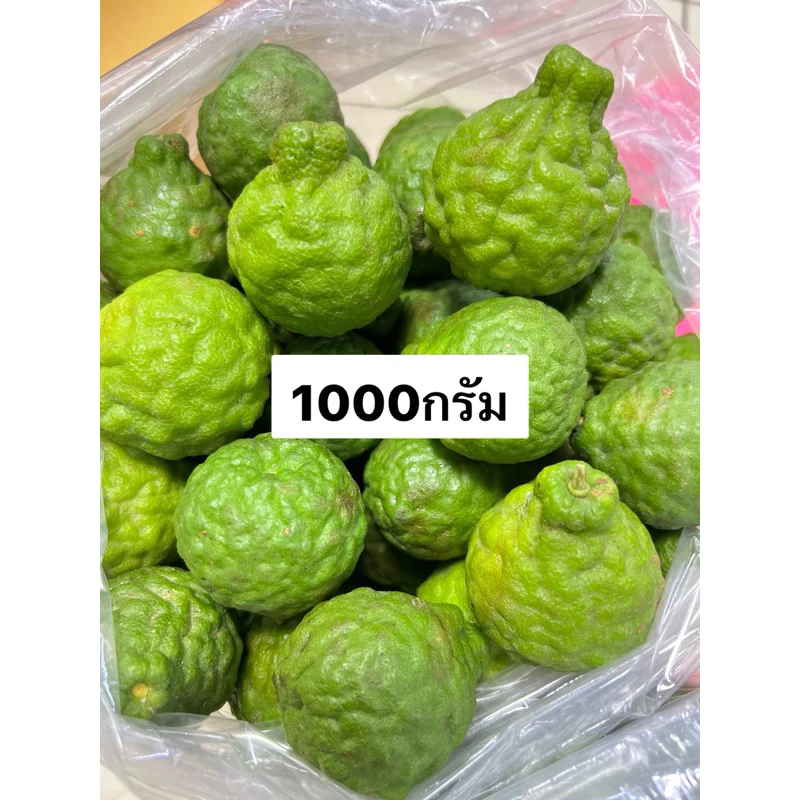 มะกรูดสด 1กก. สดใหม่จากต้น💯ร้านค้าส่งไว ส่งของทุกวัน
