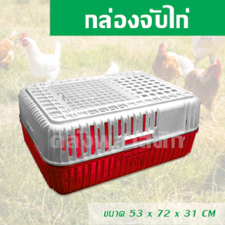 กล่องจับไก่ พร้อมฝาปิด ใช้เคลื่อนย้ายไก่และสัตว์ปีก - 0120