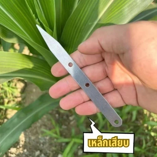 อุปกรณ์ปอกเปลือกข้าวโพด สิ่งประดิษฐ์ช่วยทางการเกษตร thumbnail 7