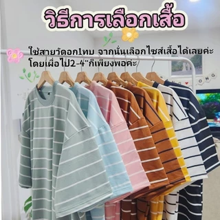 ริ้วเล็ก เสื้อยืดโอเวอร์ไซส์ อก42"-66"