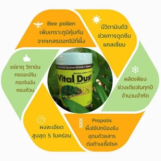 🦎ล๊อตใหม่ที่สุดVital Dust Bee และ ReviveR แคลเซียมและวิตามินสัตว์เลื้อยคลาน เต่าบก ตุ๊กแก กิ้งก่า🐢