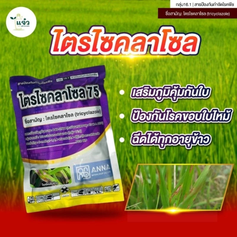 ไตรไซคลาโซล75 จาก Anna ขนาด 100 กรัม ป้องกันโรคใบไหม้ โรคขอบใบไหม้ใบแห้ง