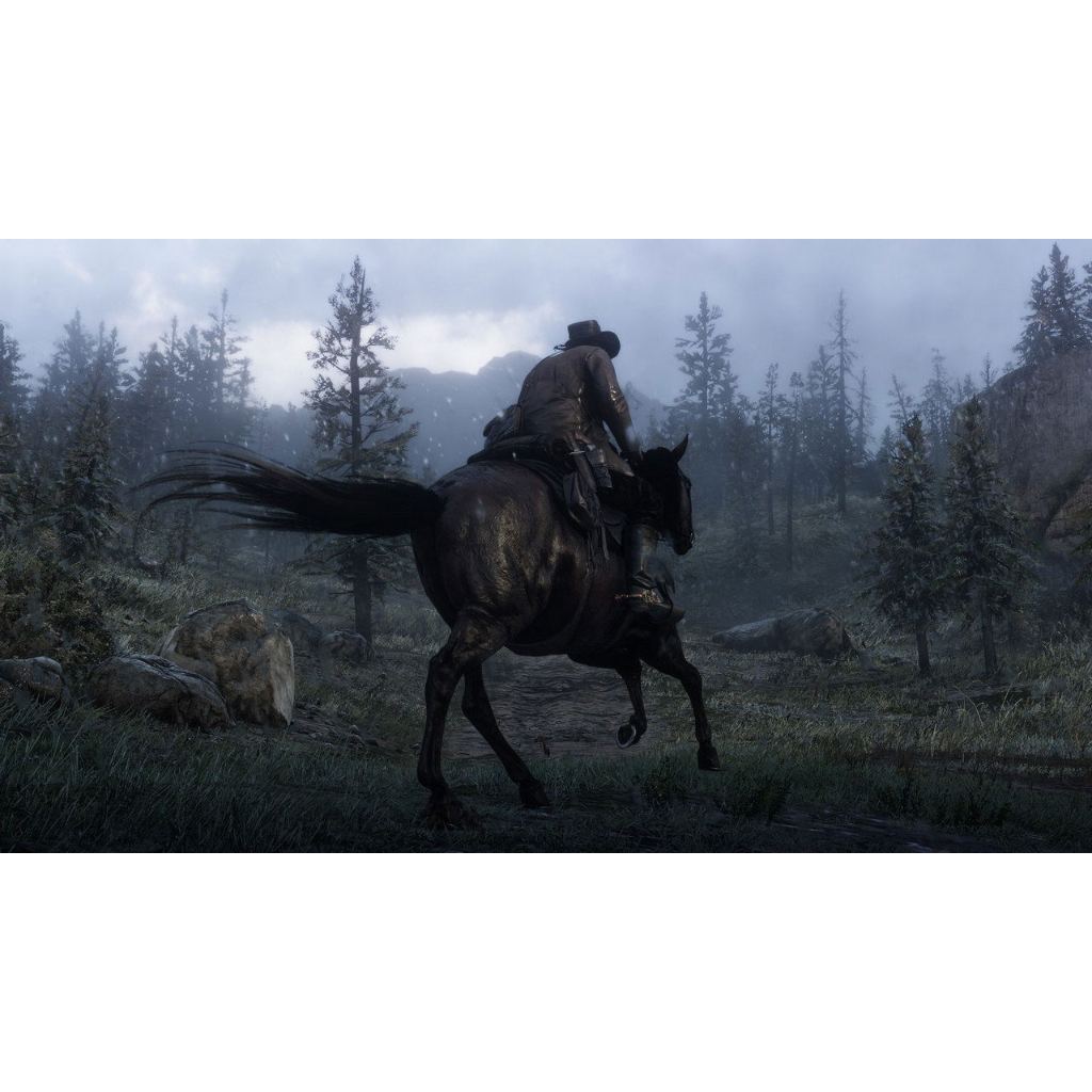 PS4 Red Dead Redemption 2 โซน3
