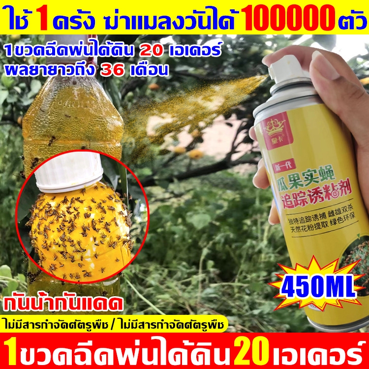 🐝ใช้ 1ครั้งฆ่าแมลงวันผลไม้ได้100000ตัว🐝สารล่อแมลงวันทอง กาวดักแมลง ล่อแมลงวันทอง เมทลยูจินอล ดักจับแมลงวันทอง แมลงหวี่