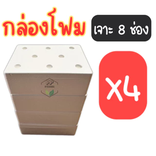กล่องโฟมปลูกผักไฮโดรโปนิกส์ เจาะ 8 ช่องชุด 4 ใบ กล่องโฟมชุด 4 ใบ พร้อมปลูก (ชุด 4 ใบ มือ 1)