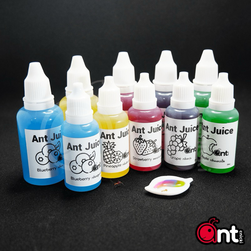 Ant Juice อาหารมด น้ำหวานสำหรับมด อาหารมดนักล่า หนอนนก เรดรัน