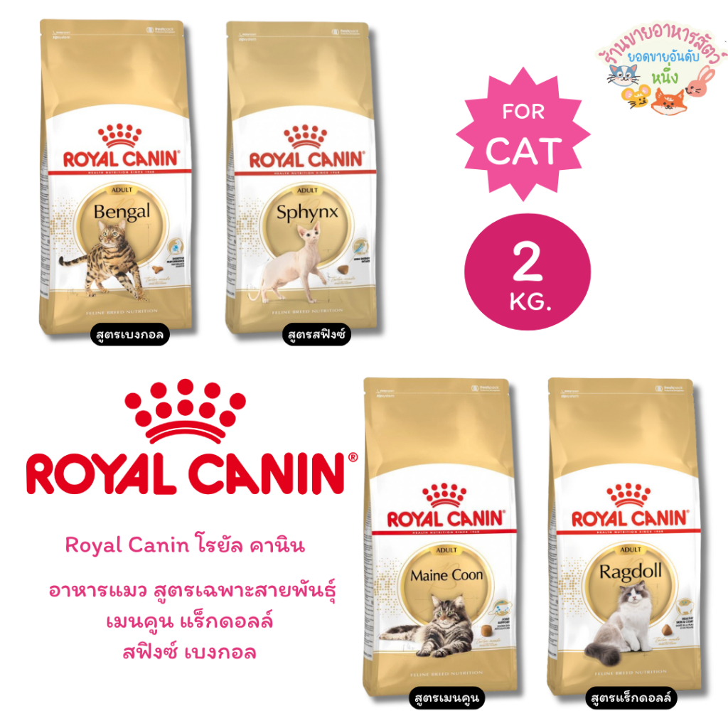 Royal Canin โรยัล คานิน อาหารแมว สูตรเฉพาะสายพันธุ์ เมนคูน แร็กดอลล์ สฟิงซ์ เบงกอล ขนาด 2 กิโล