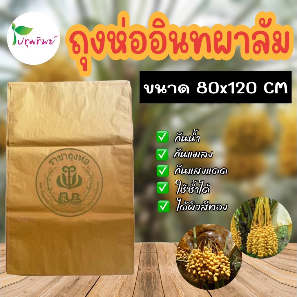 ถุงน้ำตาลห่ออินผาลัม ขนาด 80x120 CM แพ็ค 100 ใบ