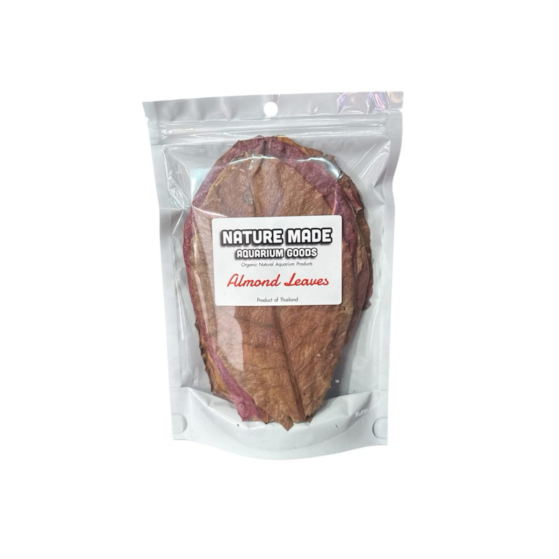 almond leaf ใบหูกวางลดเครียด ลดphในตู้ปลาตู้กุ้ง