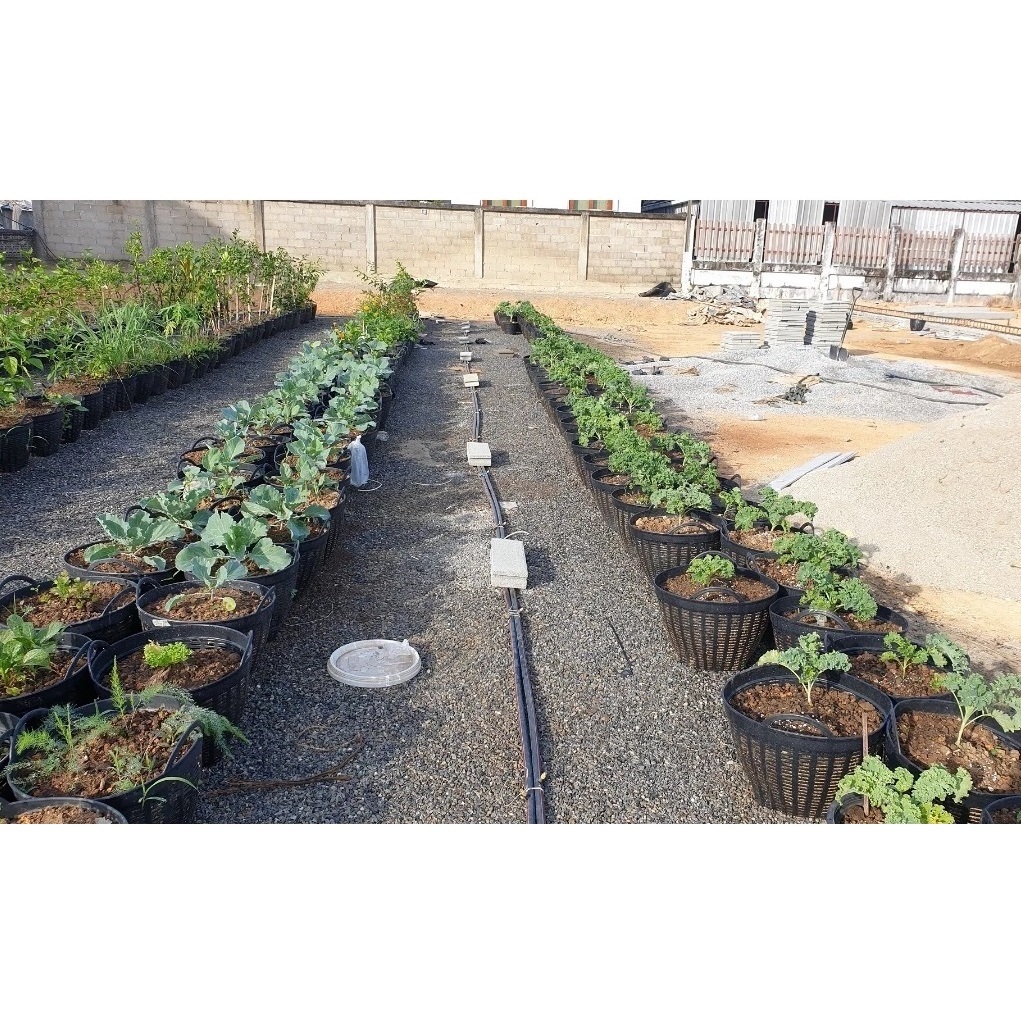 รูปภาพ 7