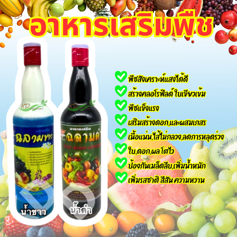 ฉลามขาว ฉลามดำ *(ฉลาม)*725ซีซี ธาตุอาหารเสริม ฮอร์โมนพืชสร้างคลอโรฟิลด์ ใบเขียวเข้ม เสริมสร้างดอกผสมเกสร เพิ่มดอก ลูกดก