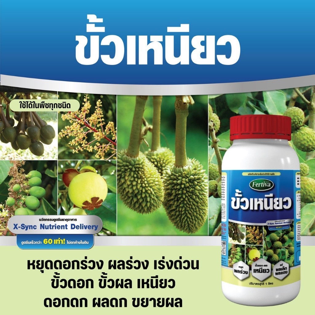 ขั้วเหนียว หยุดดอกร่วง ผลร่วง เร่งด่วน ขั้วดอก ขั้วผลเหนียว ดอกดก ผลดก แก้ผลแดง Fertiva