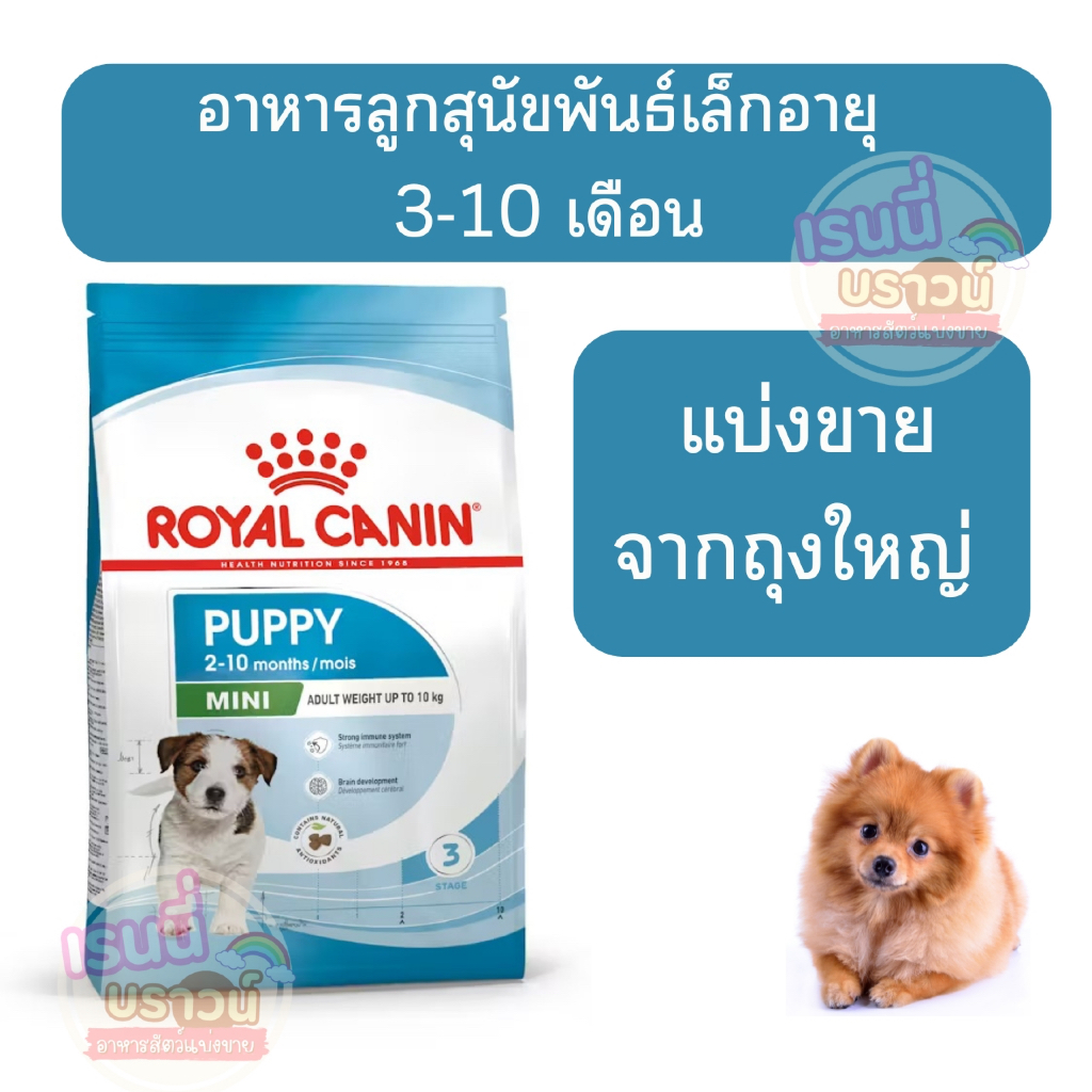 ส่งด่วนมาก+ผ่อนได้⚡️[[แบ่งขาย]] Royal Canin Mini Puppy อาหารเม็ดลูกสุนัข พันธุ์เล็ก อายุ 2-10 เดือน